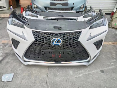 Ноускаты Lexus 2010-2025